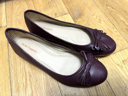 Hush puppies brown flat - puppies,