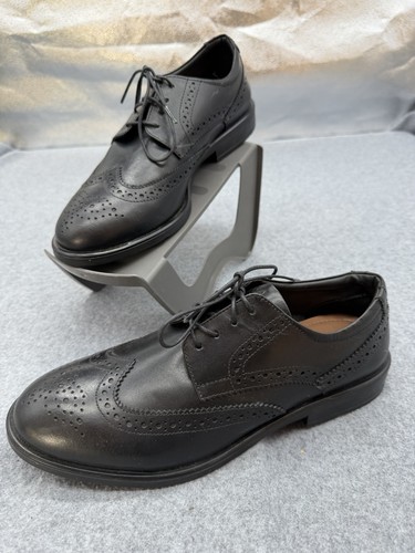 Hush puppies charlotte - puppies,