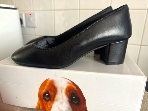 Hush puppies anna - puppies,