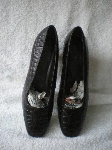 Hush puppies amanda brown - puppies,