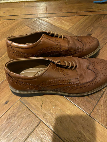 Hush puppies brown - puppies,